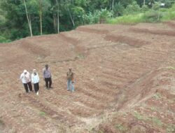 Polres Garut Sulap Lahan Tidak Produktif Jadi Kebun Jagung 1 Hektare, Dukung Ketahanan Pangan