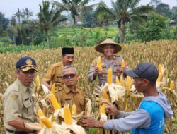 “Sinergi Polri dan Petani Perkuat Ketahanan Pangan Ciamis”