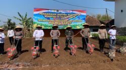 Menjaga Produktivitas Pertanian,Polres Garut dan Petani Tanam Jagung 5 Hektare