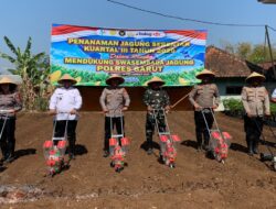 Menjaga Produktivitas Pertanian,Polres Garut dan Petani Tanam Jagung 5 Hektare